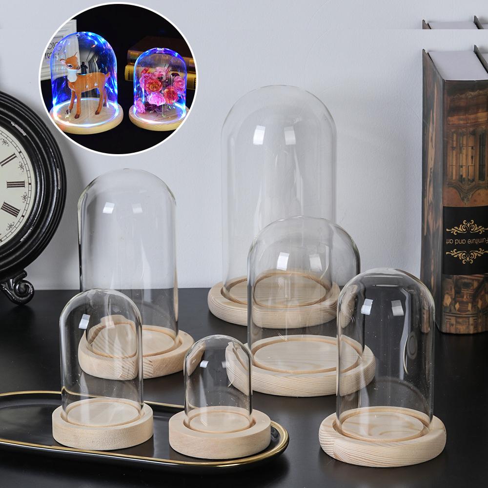 Terrarium Glass Bottle - Glass Cloche Jar Display Stand Cover