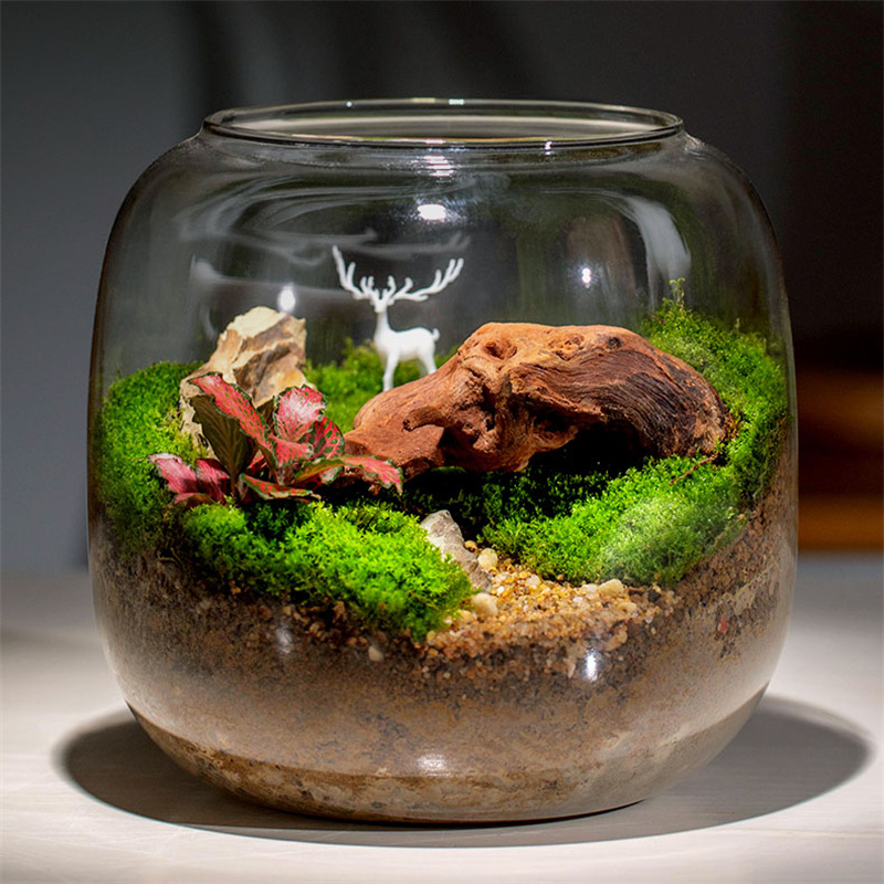 Micro Landscape Moss Glass Bot - Terrarium Glass Bottle ulasan dan harga