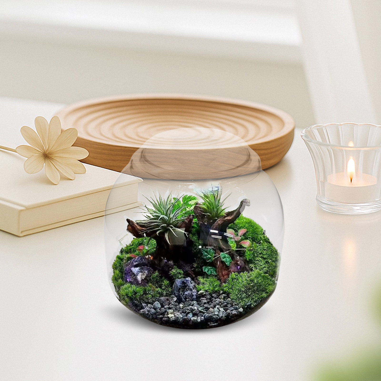 Glass Terrarium Jar with Lid T - Terrarium Glass Bottle ulasan dan harga