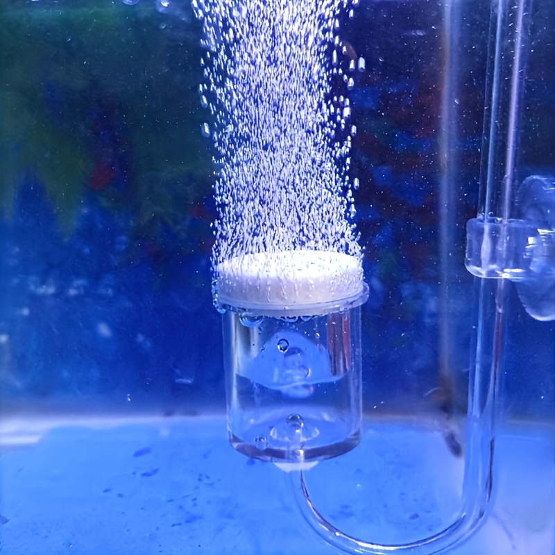 Aquarium Glass CO2 Atomizer Di - Terrarium Glass Bottle ulasan dan harga