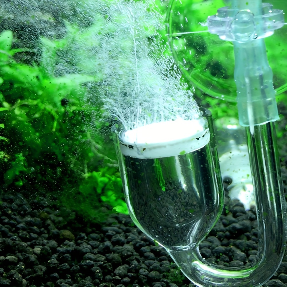 Aquarium Glass CO2 Atomizer Di - Terrarium Glass Bottle ulasan dan harga