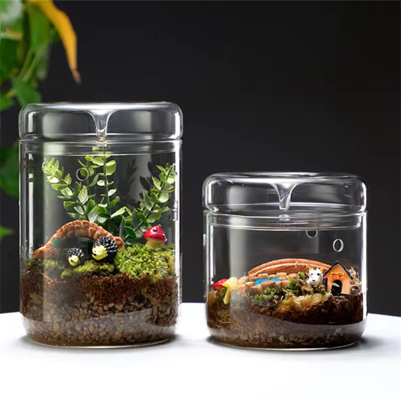 Glass Bottles Creativity Dew C - Terrarium Glass Bottle ulasan dan harga
