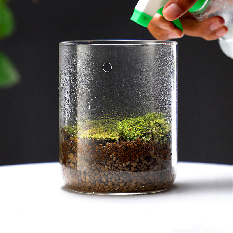 New！Micro Landscape Glass Bott - Terrarium Glass Bottle ulasan dan harga