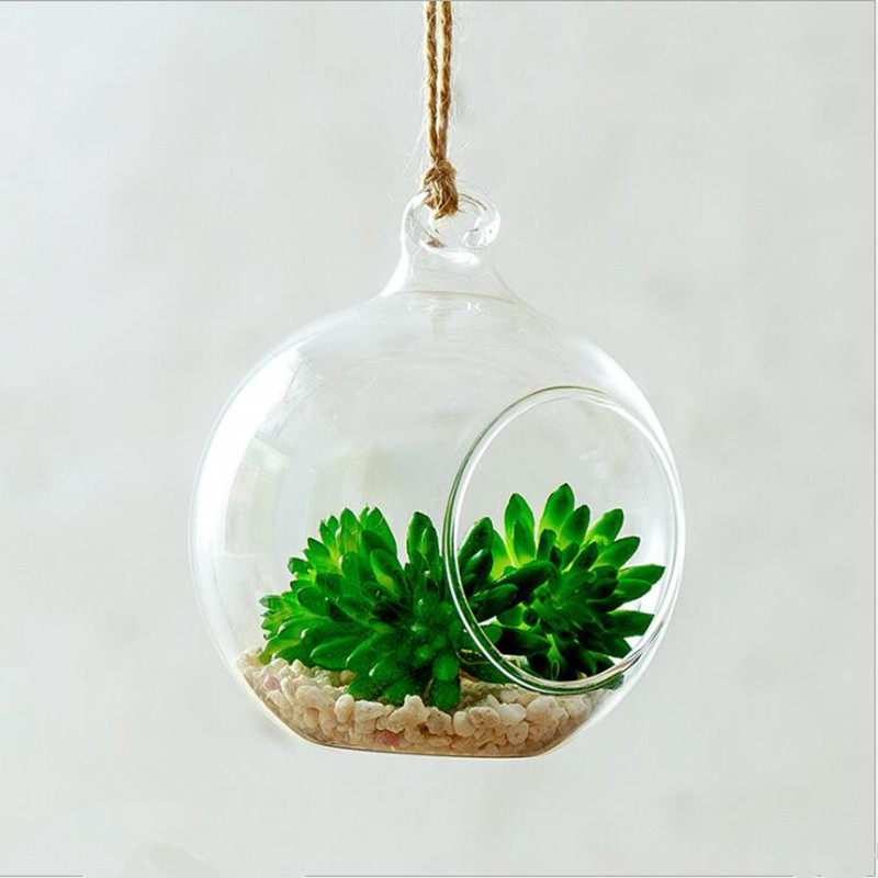 Diameter=10cm Middle Size Hang - Terrarium Glass Bottle ulasan dan harga