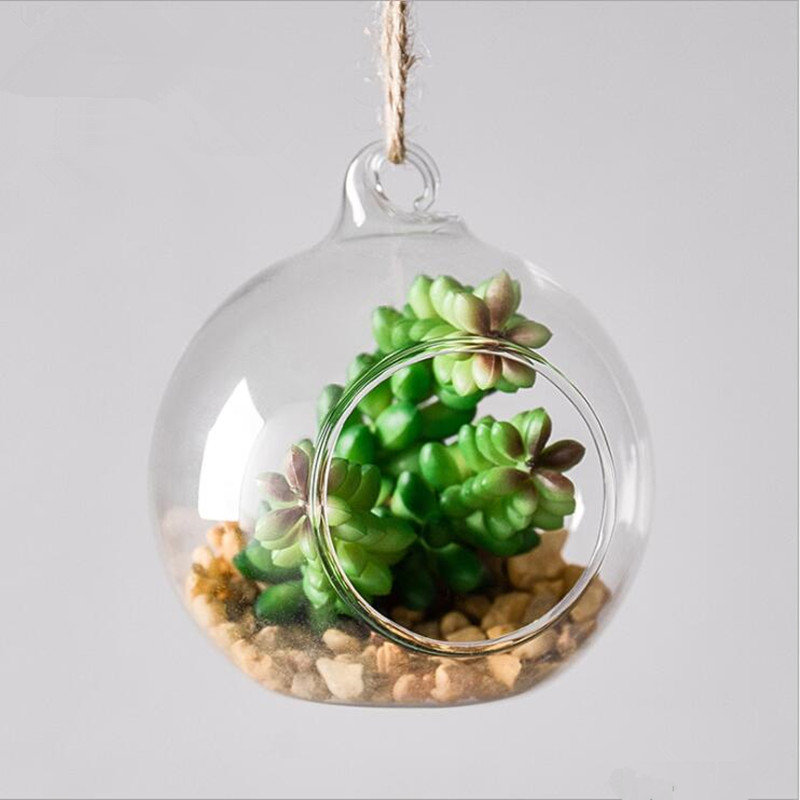 Diameter=10cm Middle Size Hang - Terrarium Glass Bottle ulasan dan harga