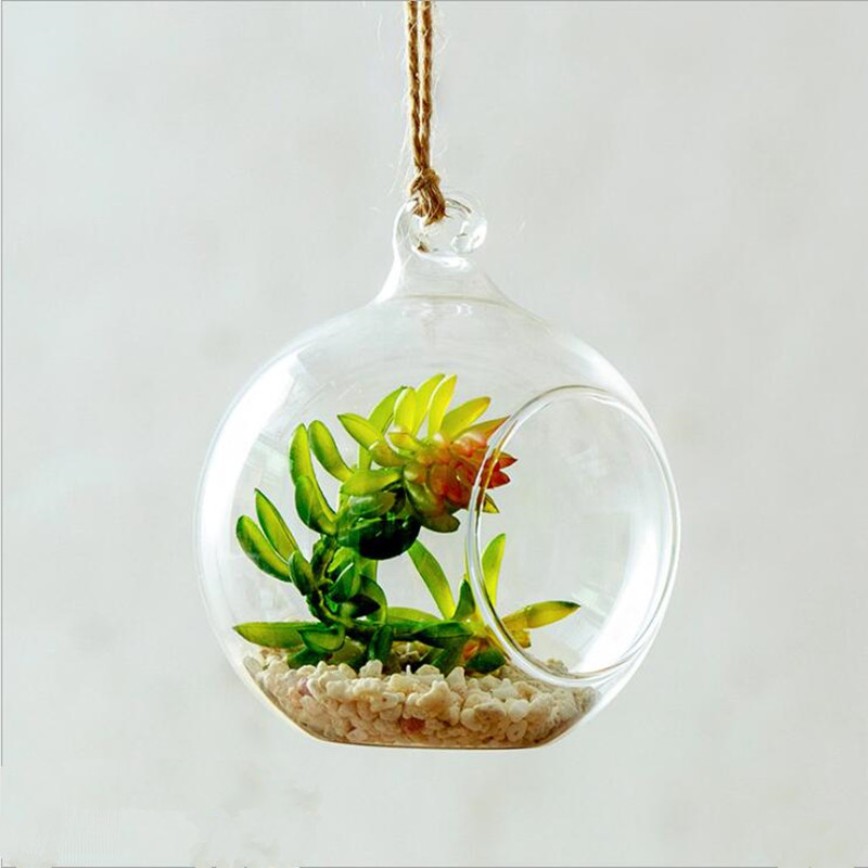 Diameter=10cm Middle Size Hang - Terrarium Glass Bottle ulasan dan harga